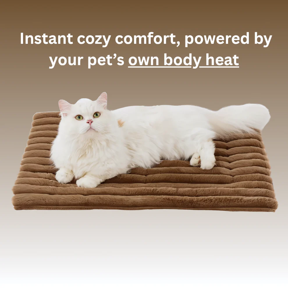Self Warming Pet Bed, Small Self Heating pet Crate Pad, Thermal Extra Warm Mat Indoor & Outdoor, Non-Slip & Washable